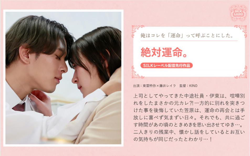 絶対運命。 藤井レイラ 東雲怜弥